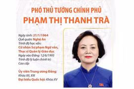 Chân dung tân Phó Thủ tướng Chính phủ Phạm Thị Thanh Trà
