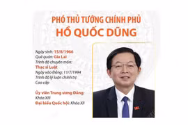 Tân Phó Thủ tướng Chính phủ Hồ Quốc Dũng