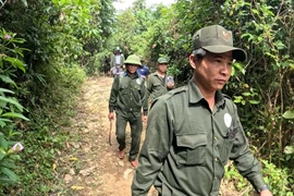 Theo chân ông Voi