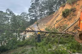 Lâm Đồng: Sạt lở đèo D'Ran trên QL20, cấm lưu thông 2 chiều