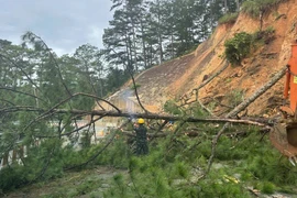 Lâm Đồng: Sạt lở đèo D'Ran trên QL20, cấm lưu thông 2 chiều