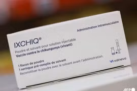Cục Quản lý Thực phẩm và Dược phẩm Mỹ đình chỉ lưu hành vắc xin Ixchiq phòng virus chikungunya
