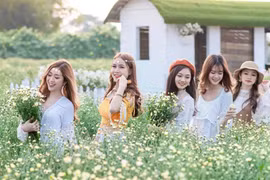 Những điểm đến xanh 'chữa lành' trong ngày Hè nóng bức gần Thủ đô Hà Nội