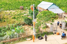 Điện lực Gia Lai: Tinh gọn bộ máy, nâng cao hiệu quả phục vụ