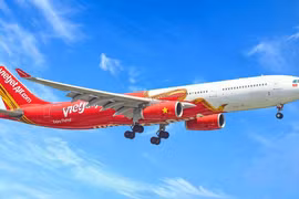 4 trải nghiệm nhất định phải thử nếu bạn chỉ có một ngày ở Brisbane