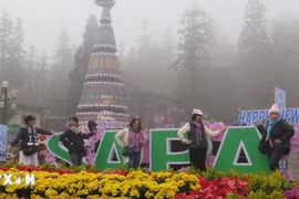 Lào Cai: Du lịch Sa Pa bùng nổ lượng khách và doanh thu trong dịp Tết