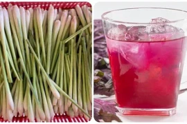 Uống nước tía tô với sả có tác dụng gì?