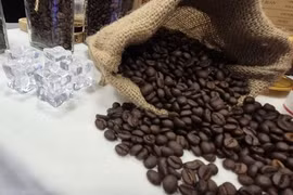 Giá cà phê hôm nay 2-4: Giảm sâu rồi tăng dữ dội