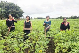 Phụ nữ vùng cao sẻ chia, giúp nhau ổn định cuộc sống.