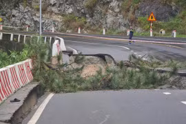 Lâm Đồng cấm xe đi đèo Prenn do sạt lở, người dân đi đường nào để lên Đà Lạt?