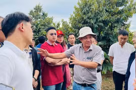 Bầu Đức chi gần 130 tỉ đồng mua cổ phiếu Hoàng Anh Gia Lai