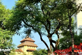 Thời tiết dịp khai giảng năm học 2025-2026: Nhiều khu vực có nắng