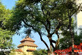 Thời tiết dịp khai giảng năm học 2025-2026: Nhiều khu vực có nắng