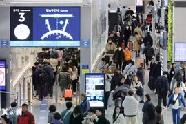 Hàn Quốc họp khẩn về vụ Mỹ bắt giữ hơn 300 người lao động nước này