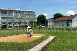 Dự báo cả nước có mưa dông trong vài ngày tới