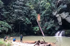 “Viên ngọc xanh” Labi