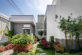 Nhà phố phân lô với nhiều khoảng xanh