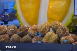 Việt Nam xuất khẩu lô sầu riêng đông lạnh đầu tiên sang Trung Quốc