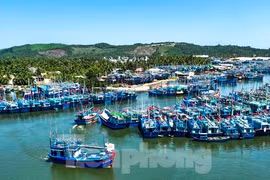 Hai ngư dân Bình Định rơi xuống biển tử vong