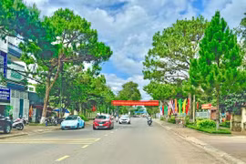 Tiễn một người qua phố