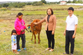 Kông Chro “tiếp sức” cho phụ nữ thoát nghèo