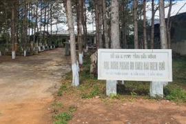 Bắt Phó Giám đốc Ban quản lý rừng phòng hộ vành đai biên giới