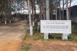 Bắt Phó Giám đốc Ban quản lý rừng phòng hộ vành đai biên giới