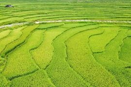 Ngắm 'cổng nhà trời' Pù Luông