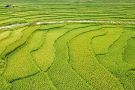 Ngắm 'cổng nhà trời' Pù Luông