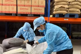 Giá cà phê hôm nay 26-2: Giảm rất mạnh, rời xa đỉnh lịch sử