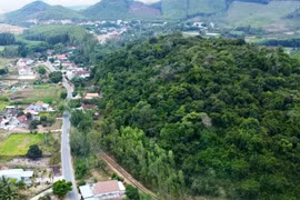 Ngôi làng 'cất giấu' rừng Cấm ở thượng sông Kôn