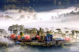 Đà Lạt sẽ là đô thị xanh