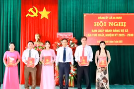 Củng cố tổ chức đảng, đảm bảo vận hành thông suốt