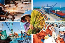 Ban hành Hệ thống ngành kinh tế Việt Nam