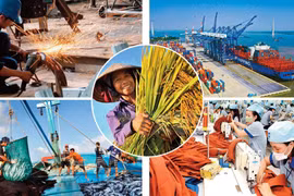 Ban hành Hệ thống ngành kinh tế Việt Nam