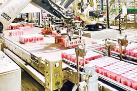 Nền tảng pháp lý, niềm tin chính trị thực thi Net Zero