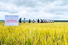 Chuyển giao tiến bộ khoa học kỹ thuật trong nông nghiệp “Chìa khóa” phát triển bền vững