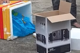 Khám phá thành công đường dây 'ngụy trang' ma túy trong loa điện tử, có yếu tố nước ngoài