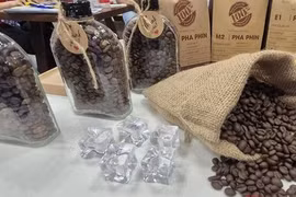 Giá cà phê hôm nay 18-4: Quay đầu giảm cực mạnh