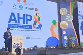 Khoảnh khắc và Sự kiện ngày 10-12