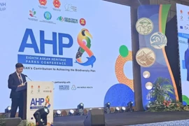 Khoảnh khắc và Sự kiện ngày 10-12