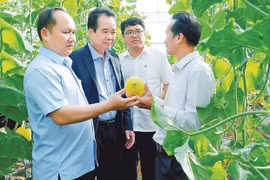 Cùng cả nước tiến vào kỷ nguyên vươn mình của dân tộc