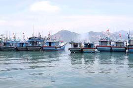 Phù Mỹ Đông tăng cường giám sát tàu cá vi phạm