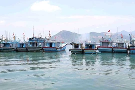 Phù Mỹ Đông tăng cường giám sát tàu cá vi phạm