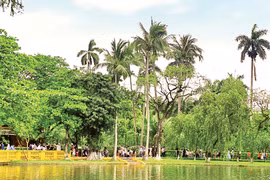 Cây trong vườn Bác