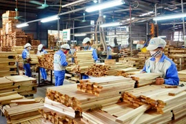 Việt Nam công bố 919 loài gỗ nhập khẩu mới nhất