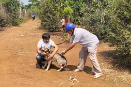 Bé trai tử vong sau 3 lần bị chó cắn nhưng không tiêm phòng