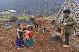 Tiêu chí và quy trình xác định các dân tộc còn gặp nhiều khó khăn, có khó khăn đặc thù giai đoạn 2026 - 2030