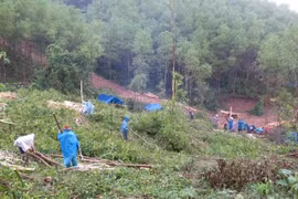 Lên rừng, xuống biển mưu sinh - Kỳ 2: Những đêm trăn trở giữa rừng sâu