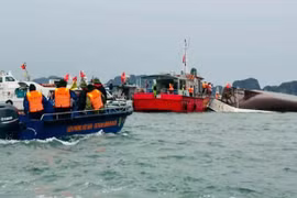 Phó Thủ tướng Thường trực chỉ đạo đề xuất giải pháp xử lý lỗ hổng từ vụ lật tàu Vịnh Xanh 58 ở Quảng Ninh